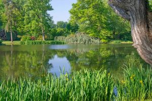 Le domaine de Courson
