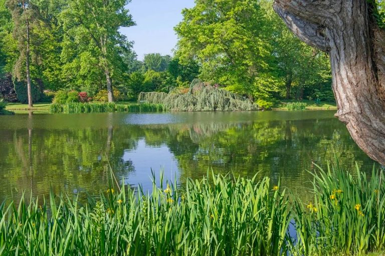 Le domaine de Courson