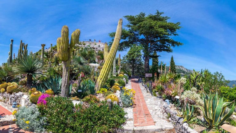 Le jardin exotique de la ville d'Eze ©BBO Studio
