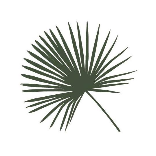 Logo du jardin botanique de Vauville